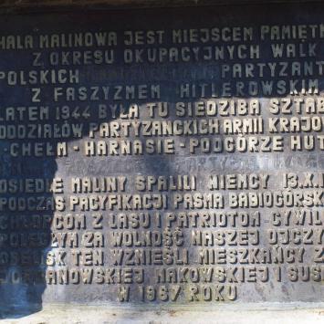 Paniątki ..., Tadeusz Walkowicz
