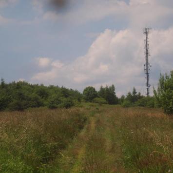 Szczyt Tokarni, Tadeusz Walkowicz