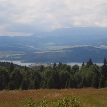 Widoki na trasie, Tadeusz Walkowicz