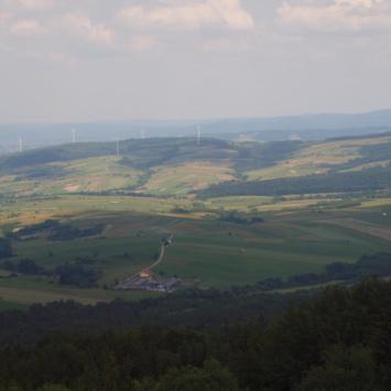 Widoki ze szczytu, Tadeusz Walkowicz