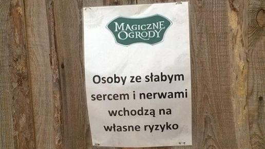 , Ane TA