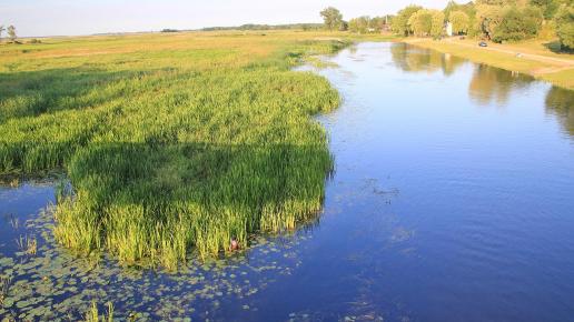 Podlasie - Biebrza