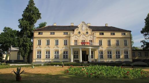 Pałac w Witaszycach