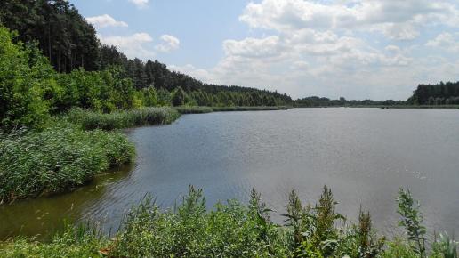 zalew w Ostrowach, Magdalena