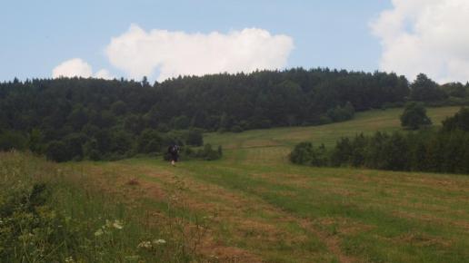 Na szlaku, Tadeusz Walkowicz