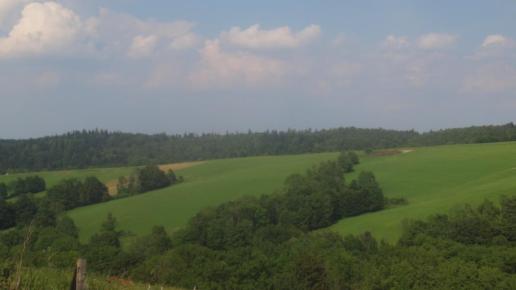 Na szlaku, Tadeusz Walkowicz
