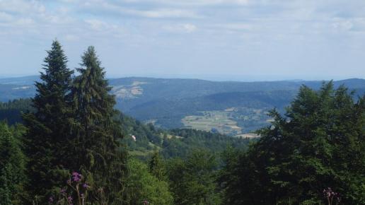 Na szlaku, Tadeusz Walkowicz