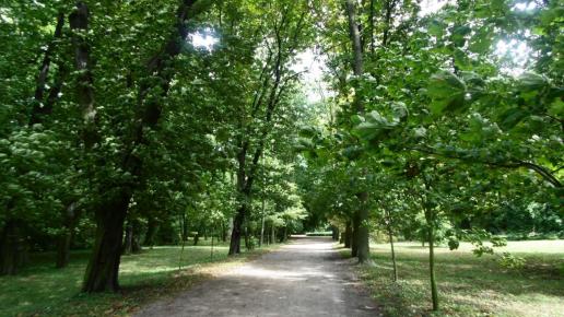 , Ula Przygoda