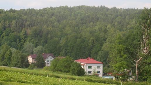 Puławy Górne, Tadeusz Walkowicz