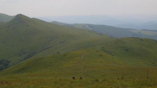 W drodze, Tadeusz Walkowicz