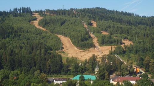 Widok z DW, Tadeusz Walkowicz