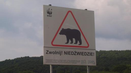 Zwolnijmy ...., Tadeusz Walkowicz