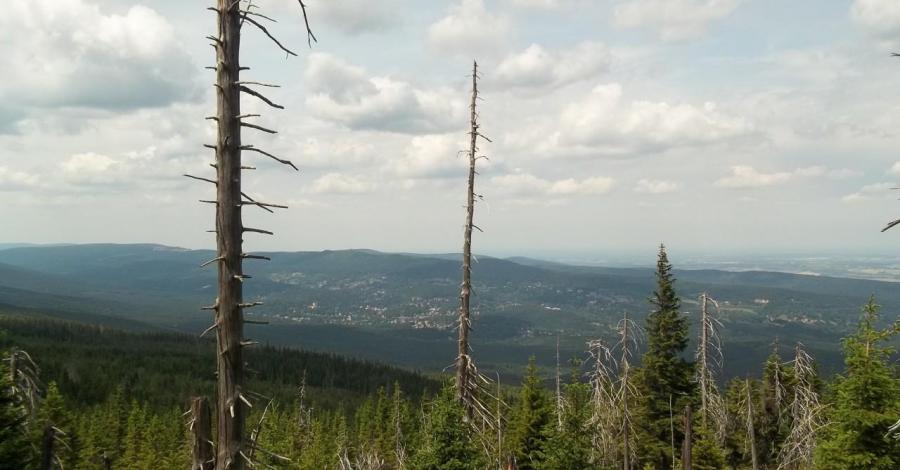 Troszkę Karkonoszy - zdjęcie