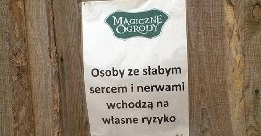 W krainie magii - zdjęcie