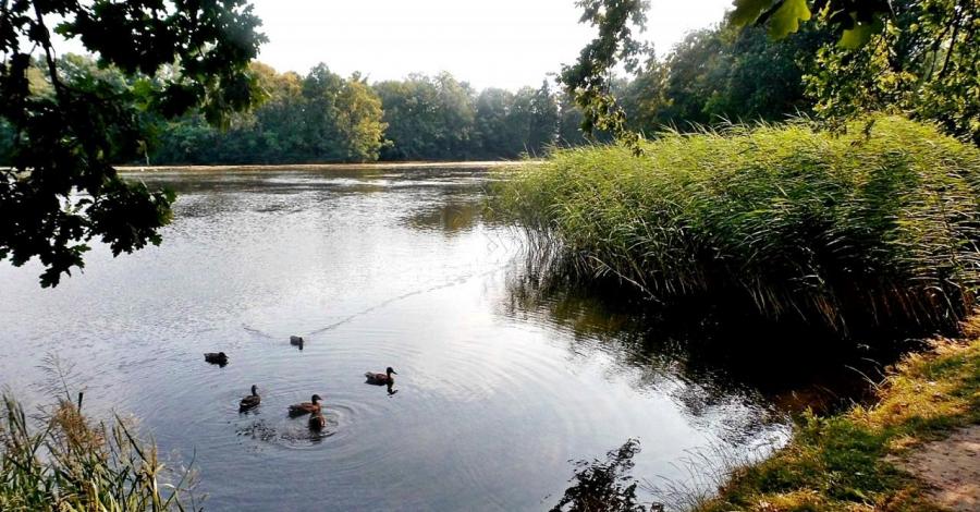 III jak z bajki (Opole, Moszna, Gwoździany) - zdjęcie