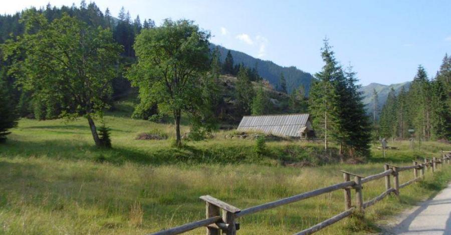 Grześ - Rakoń - Wołowiec - zdjęcie