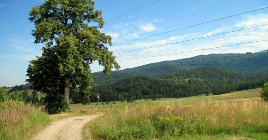 Beskid Mały- Czupel 933mnpm, Magurka Wilkowicka 909mnpm. - zdjęcie