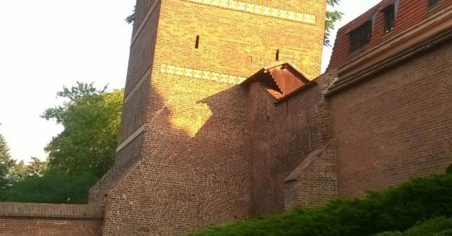 Toruńskie pierniki - zdjęcie