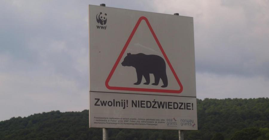 Główny Szlak Beskidzki - Bieszczady - zdjęcie