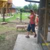 , mirosław