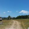, mokunka