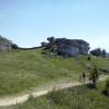 , mokunka