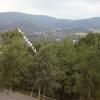 , mokunka
