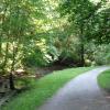 park miejski, Danusia