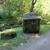 park miejski, Danusia