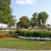 Nowy Rynek, Danusia