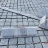 , Barsolis Karol Turysta Kulturowy