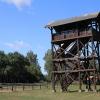 wieża widokowa na bociany i konie