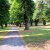 Park w zespole pałacowo-parkowym w Pilicy, Roman Świątkowski