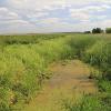 Narwiański Park Narodowy