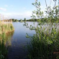 , Barsolis Karol Turysta Kulturowy