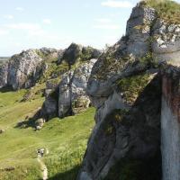 , mokunka