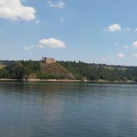 , mokunka