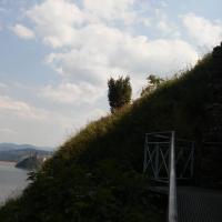 , mokunka