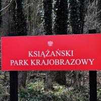 , kubarek23