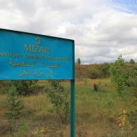 mizar