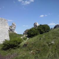 , mokunka