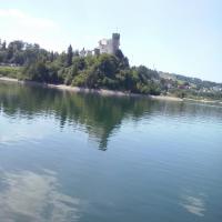, mokunka