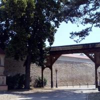 , mokunka