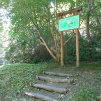 park miejski, Danusia
