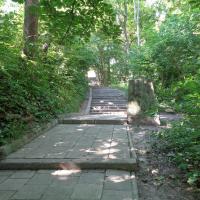 park miejski, Danusia