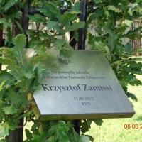 amek w Rynie,pamiątkowe dęby, Danusia