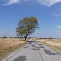 , Magdalena