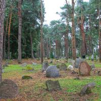 mizar w Kruszynianach