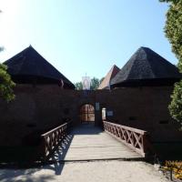 , Barsolis Karol Turysta Kulturowy