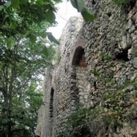 zamek Smoleń, Roman Świątkowski